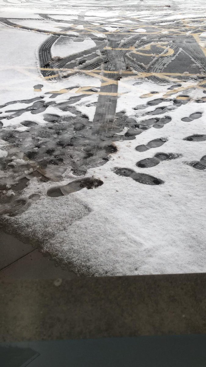 The Optical Factory tweet media