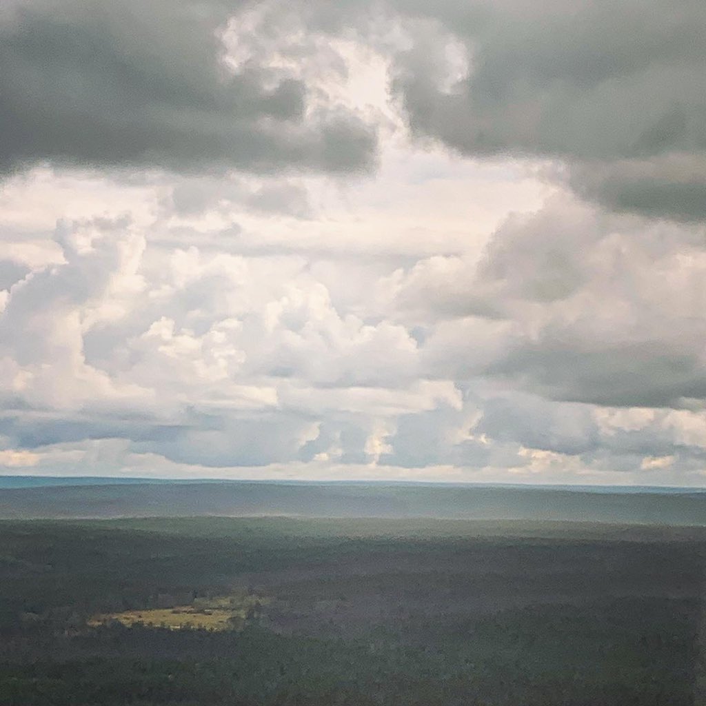 MichaelLeng7's tweet photo. Больше 2000 фотографий 🤦🏻‍♂️ https://t.co/5B6xhYxvH4