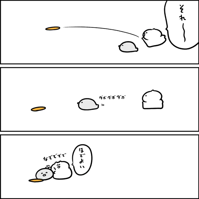 ほどよいアザラシと遊ぶ 