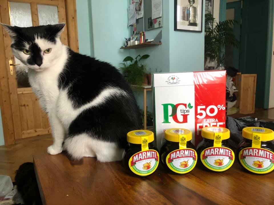 darkgranitegrey's tweet photo. Tak v naší česko-anglické domácnosti vyřízeno. Kilo Marmite a čaj PG Tips v balení po 240 pytlících. Postbrexitová apokalypsa může klidně přijít. #brexitproblems https://t.co/1pRwixNAtz