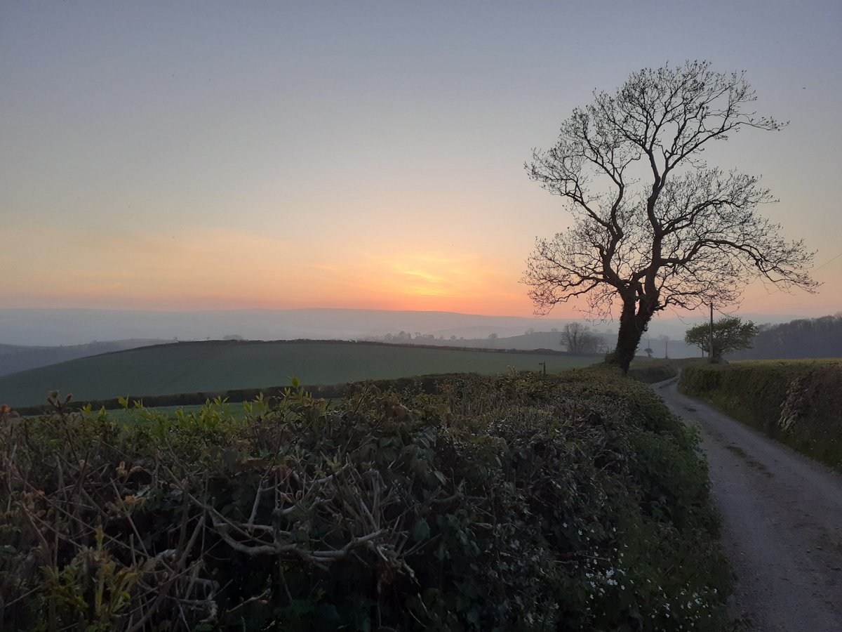 We were proud to have supported Patsy Wood Trust Scholar and <a href="/Timberstrategy/">Timber Strategies</a> graduate Jonas Brandl last year with <a href="/royal_forestry/">RoyalForestrySociety</a>  who has set up TimberResearch. buff.ly/35EhASP #forestry #agroforestry #timberresearch