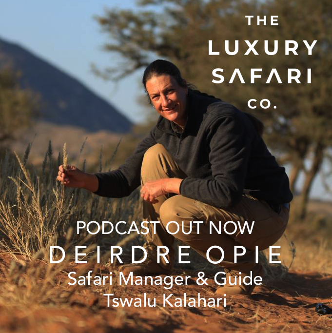 Don’t forget.... PODCAST OUT NOW.... #podcast #podcasts #wildlifepodcast #travelpodcast #africansafari #africansafaris