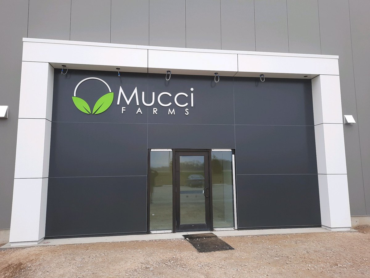 BradySignCo's tweet image. New dimensional letter set for @MucciFarms entrance build is complete at their Huron facility. These 1/2” deep acrylic letters and logo with painted faces and returns turned out great! #WallSigns #OurSignsMeanBusiness
