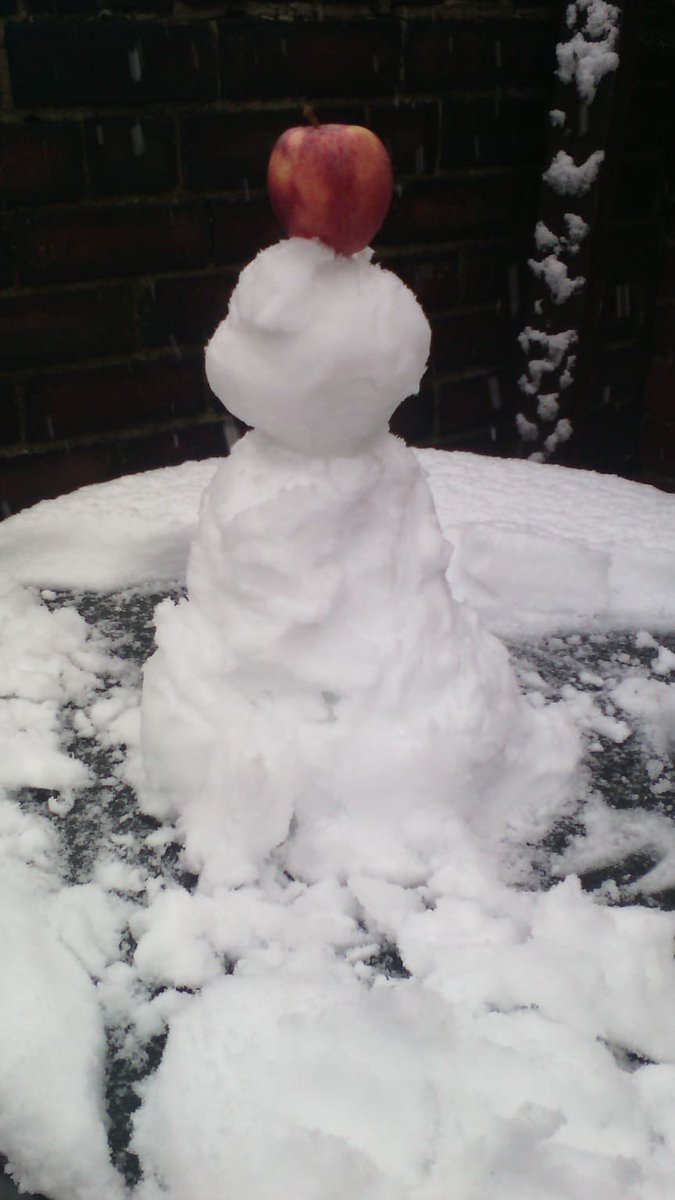 The science department have been busy making scientific sculptures this evening! Can you guess what they’re representing?  We think we should be working in the art department!  What do you think?! 🤣 <a href="/DHFSUpdate/">D H F S</a> #scienceinthesnow #science