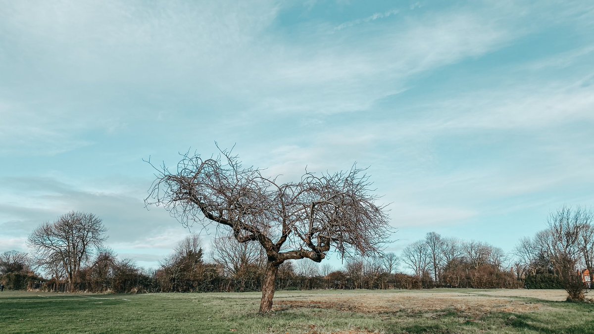 4. gün çekimlerinden Victorian evleri gerçekten çok estetik