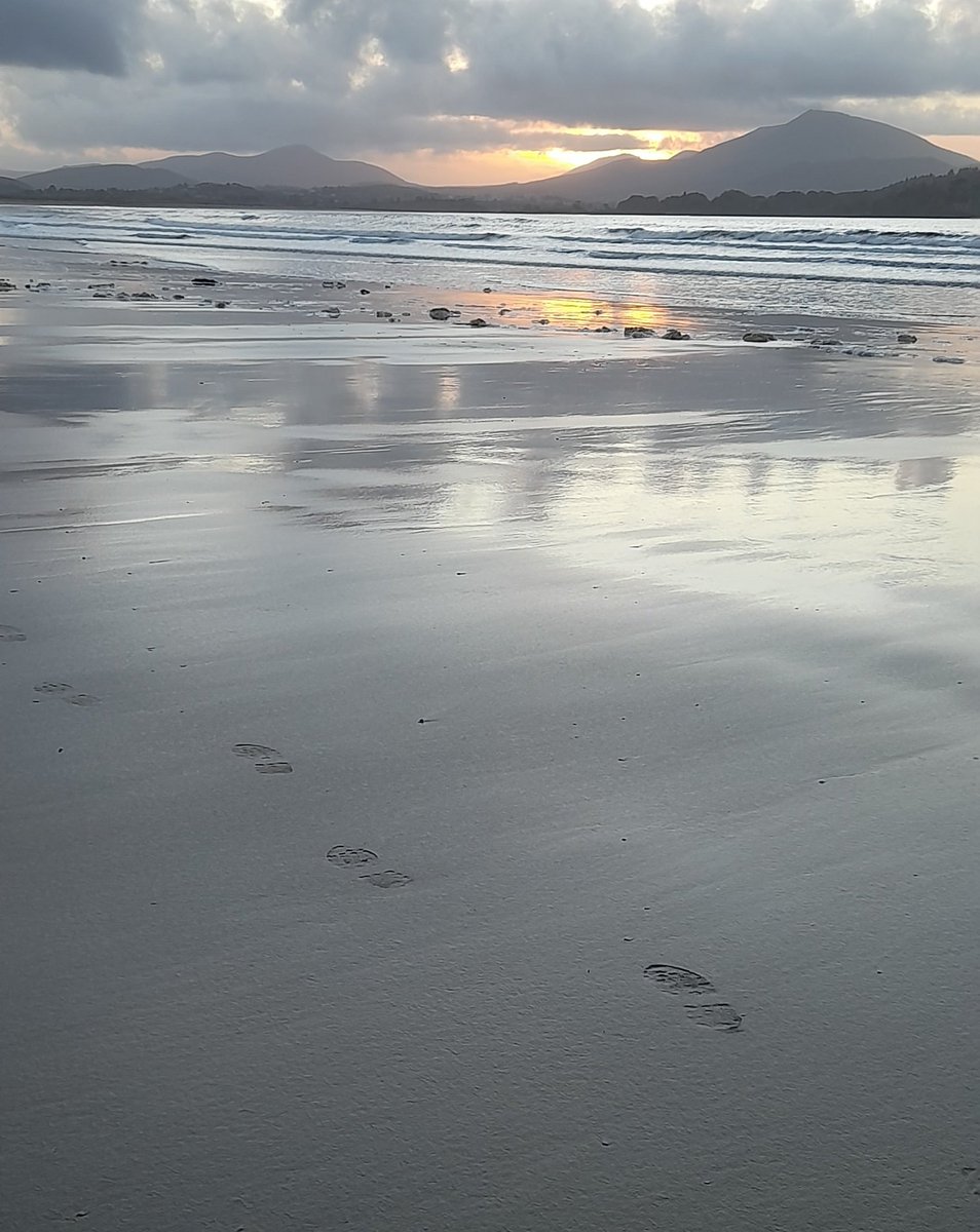 Someone's happy out 
#springerspaniel #winterwalksonthebeach #happydog #donegalbeaches #selfcare #tramorebeachcarrigart