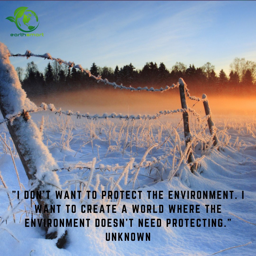 Earth__Smart's tweet photo. Thursday Thoughts

Earth Smart Solutions, helping create your sustainable environment with naturally occurring eco-friendly products for gardening, cleaning, agriculture, composting and more.

#thursdaythoughts https://t.co/svCOQaG1vc