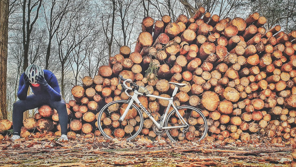 ronaldheidanus's tweet photo. Ontwerpen. Schrijven. Foto's uitzoeken. En een rondje! Even bomen. Uithijgen...🤘🏼
#nieuwedoelen #boekmakings #ROadtotheIOK #IOK2021 https://t.co/xwS3gz8ibp