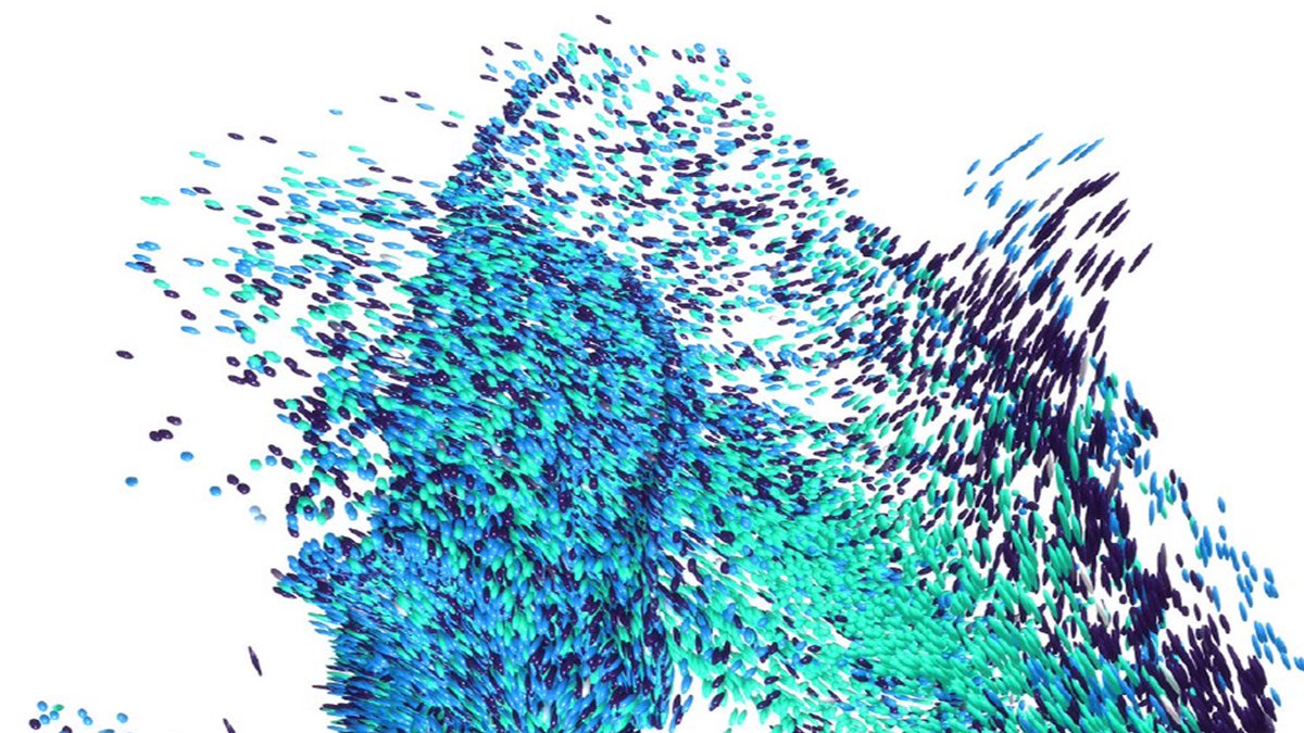 Excited to cover the <a href="/WeAreAMS/">AMS</a> rebrand news and its core mission: enable #TrueWorkforceDexterity. cporising.com/2021/01/14/wor… #Staffing #FutureOfWork #TalentAcquisition #HR #HRtech #ContingentWorkforce #AgileWorkforce #Procurement #Diversity #Inclusion #Innovation #Tech #Talent