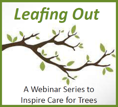 1000FriendsWisc's tweet photo. Follow our monthly webinars, #LeafingOut, to learn fun and useful facts about the trees in your yard and in your community! Experts in urban forestry and beyond will share their stories and expertise. For more information about the webinars: https://t.co/zDUlsXMCh1 https://t.co/0uLhiBJPCw