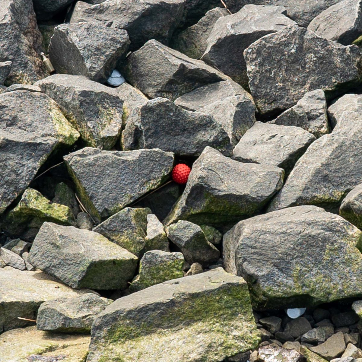I detected a new COVID variant along the east river in NYC. This one looks larger and more dangerous.