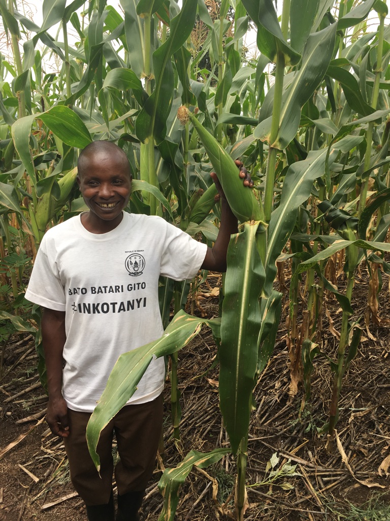 5/6 Had to sneek a couple of actual photos in! from  @Foodgrains partner in  #Rwanda, conservation  #agriculture and  #nutrition training having positive impact for families, communities