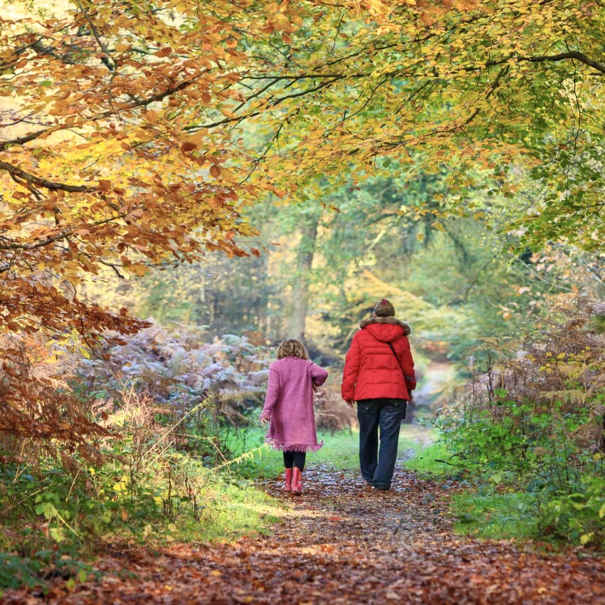 Please be aware that the Surrey Hills is currently receiving a large number of visitors. We urge you not to travel into the Surrey Hills during lockdown &amp; instead enjoy countryside closer to home. Read our advice &amp; government guidance on outdoor exercise bit.ly/3bc5pjQ