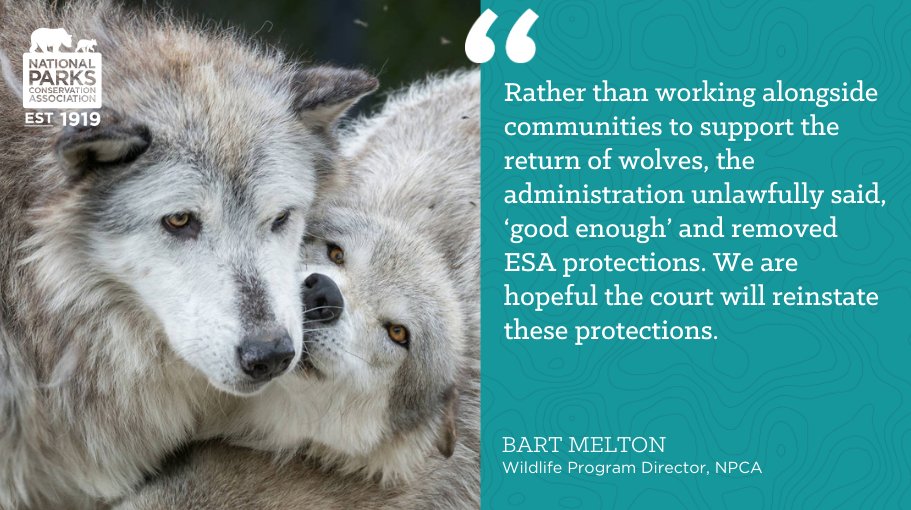 BREAKING: We, along with five other groups, filed a lawsuit against the Trump administration’s rule that removed Endangered Species Act protections for gray wolves in the lower-48. #StopExtinction earthjustice.org/news/press/202…