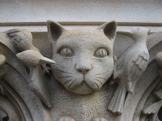 palate cleanser, two extremely good cattos both at Washington DC Cathedral