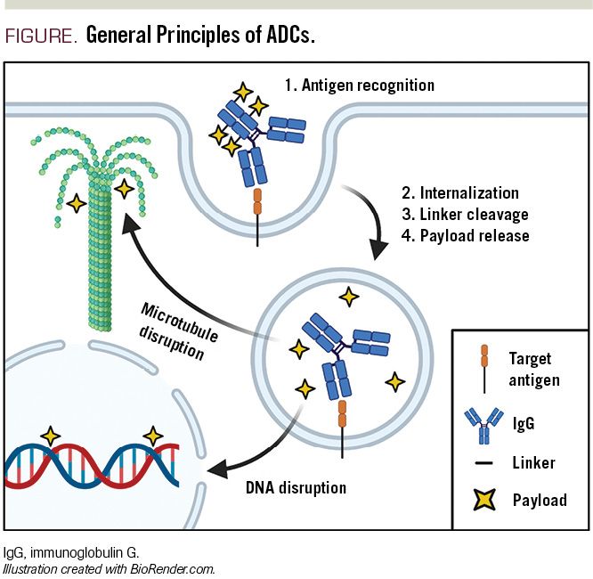 Cool article on #ADCs and how they play a role in new advances for #lymphoma

Source: lnkd.in/gGevXtU
ADCs: lnkd.in/g_XCJFc
#research #antibodydrugconjugates #adclinkers #peglinkers #cancerresearch #cancertreatment #drugdelivery #drugdevelopment #drugdiscovery