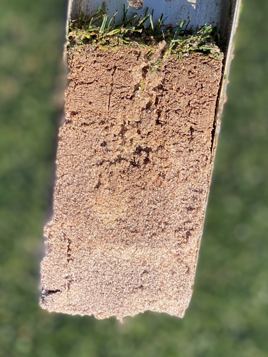 ECoastTurf's tweet image. Different type of double today.  1st pic is #DryJect 3”x3” and 2nd pic is #Maximus immediately over top of it.  Sand/@ProfileGolf Field &amp;amp; Fairway blend. All photos from the range tee.