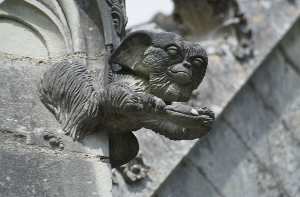 Chapelle de Bethleem, Nantes. This one is extra funny because isn't the first rule that you don't let them come into contact with water?