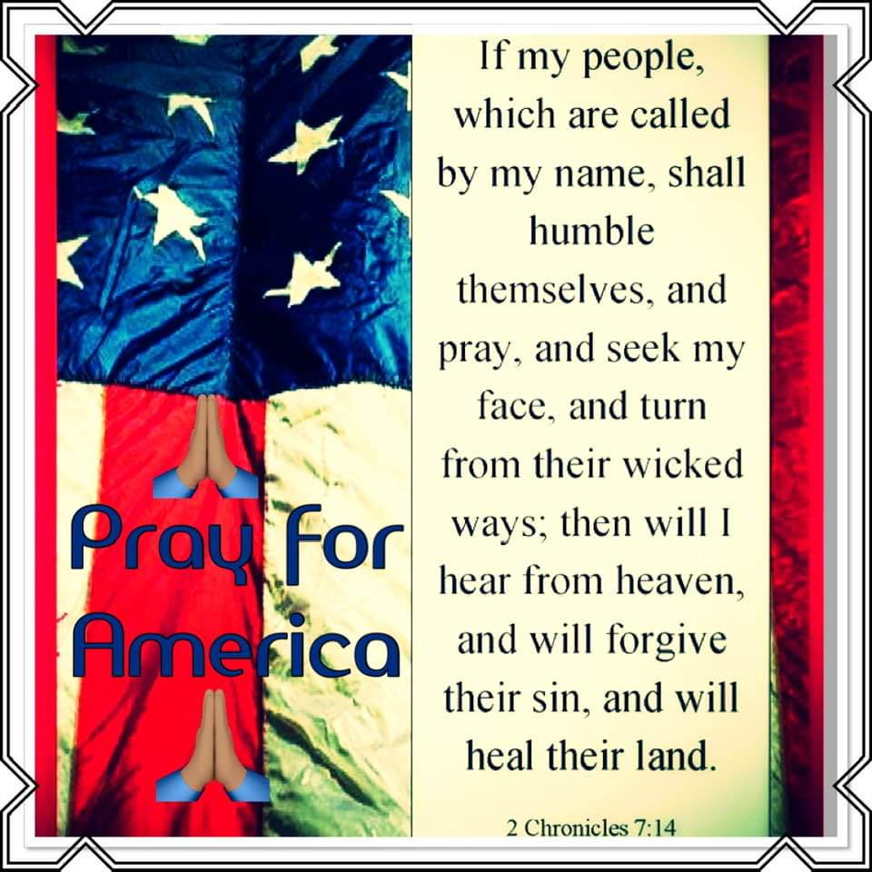 FreeSusanWilliams (@susanwi73441415) on Twitter photo 