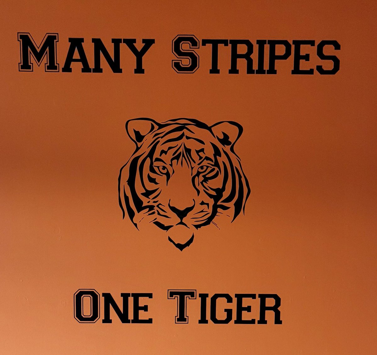 LPStigers's tweet photo. Thinking of our Tiger!  We are with you, we miss you,  and we definitely back the pack. #grantswolfpack #TigerSupport #TigerCare #PaintTheTownOrangeForGrant https://t.co/fadbwOxLfS