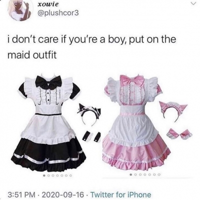 I suspect the one I'm referencing is actually this meme (the parodies of anti-mask memes) crossbreeding with an unrelated meme, which is basically just "I don't care what gender you are: put on the maid outfit".