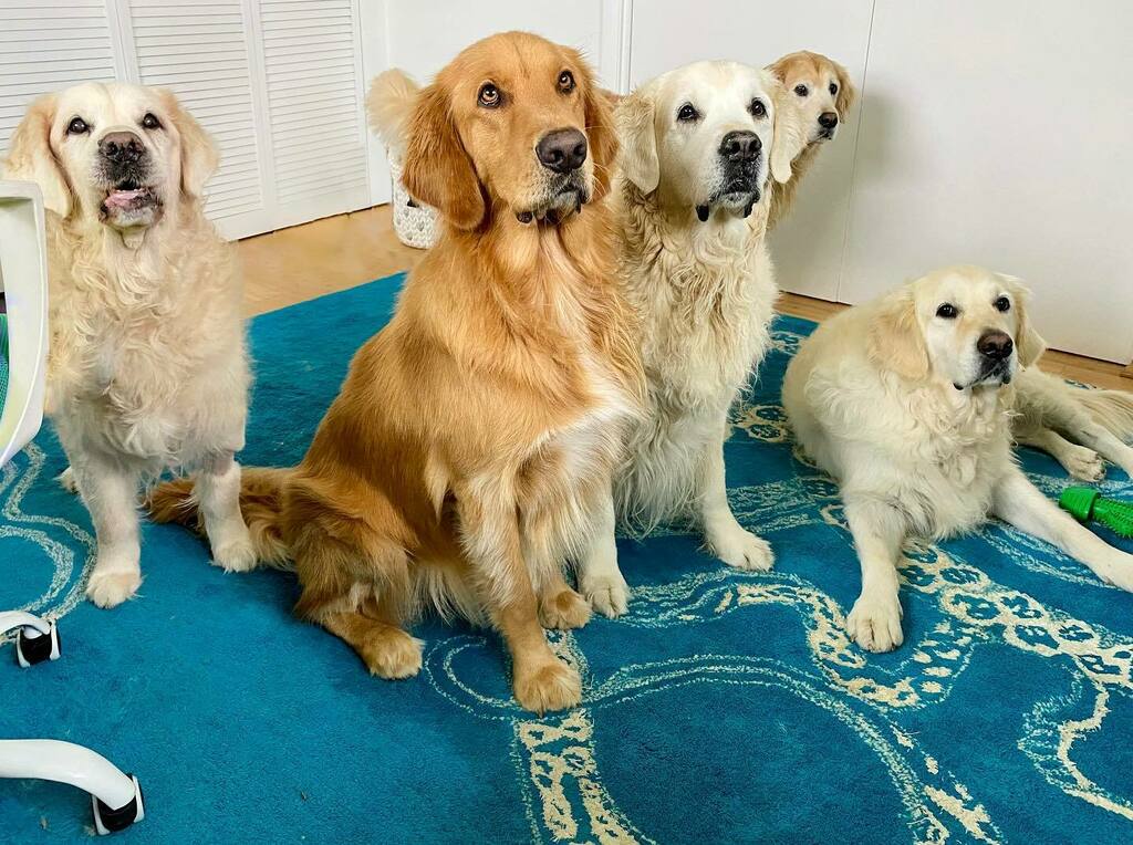 It’s chilly and rainy and they are basically unionizing to demand walkies