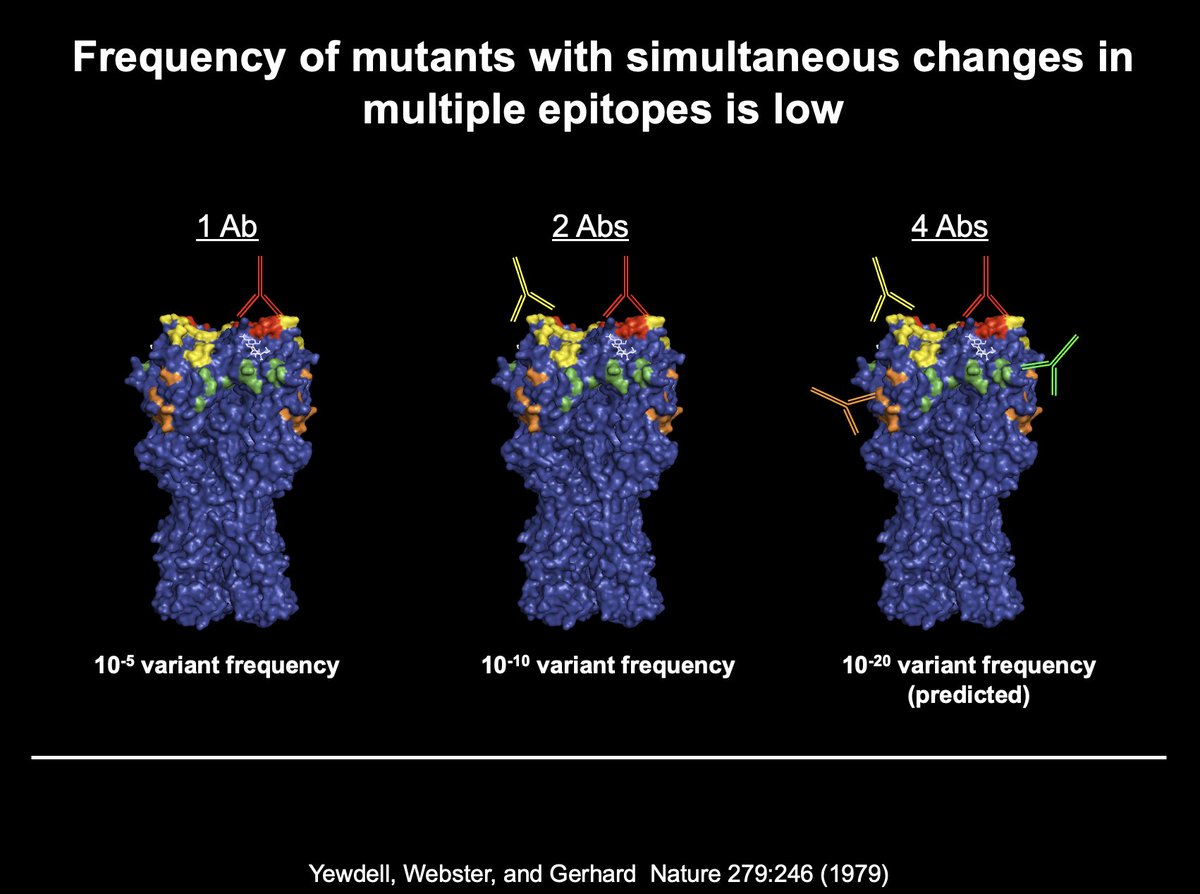 Here is the story: influenza viruses do not have a high enough error rate to simultaneously acquire mutations that block all of the different types of antibodies in most polyclonal serum...that part was figured out in 1979 when I was still in diapers....3/