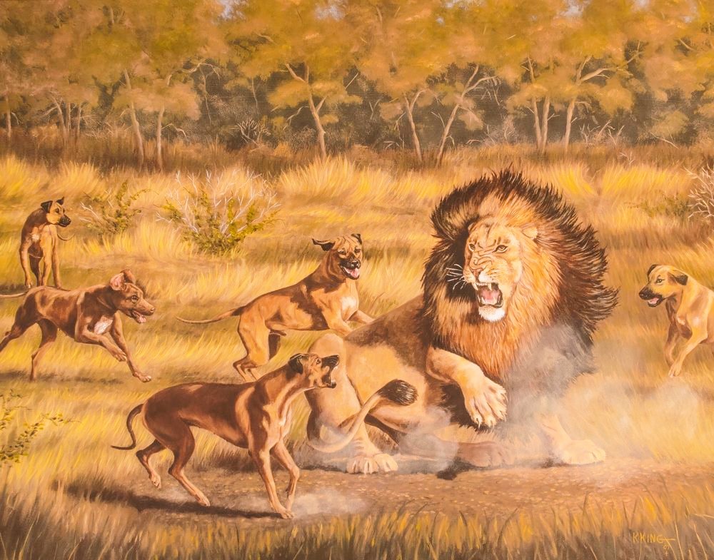 What Dogs Were Bred To Hunt Lions