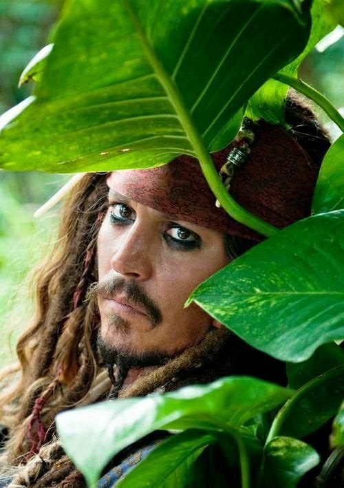 Cuteness alert!!!!!Johnny Depp as Pandas - A Thread