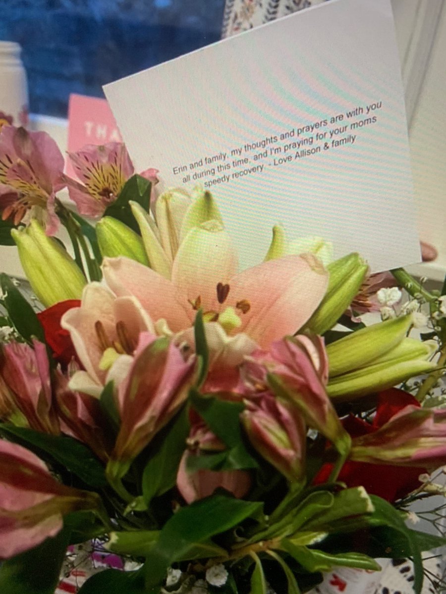 Aillise's tweet photo. @FromYouFlowers i ordered 2 ordered of flowers from you and what arrived was half the size, not the same flowers and half of them were dead. I’d like to speak with someone about this. https://t.co/6m9h8eGgTX