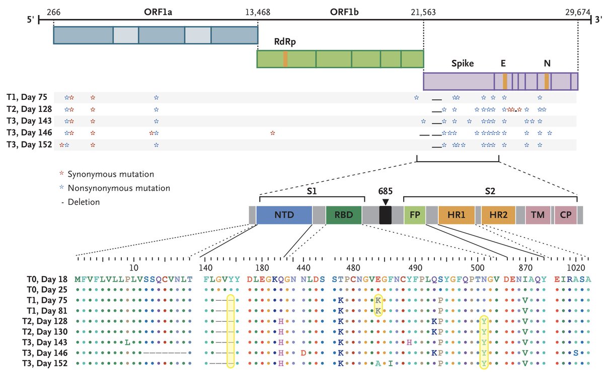 Indeed, this particular chronic infection evolved some of the exact same mutations seen in these variant viruses including 484K, 501Y and a 144 deletion. 16/19