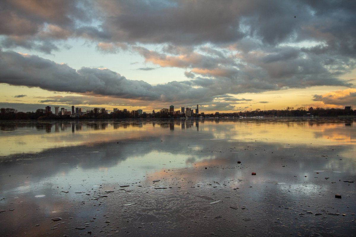 Geslaagde ochtendwandeling door het Kralingse Bos afgelopen weekend 🌳 📸