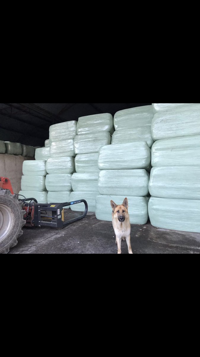 Maplehurst Farm tweet media