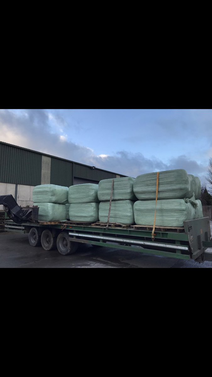 Maplehurst Farm tweet media