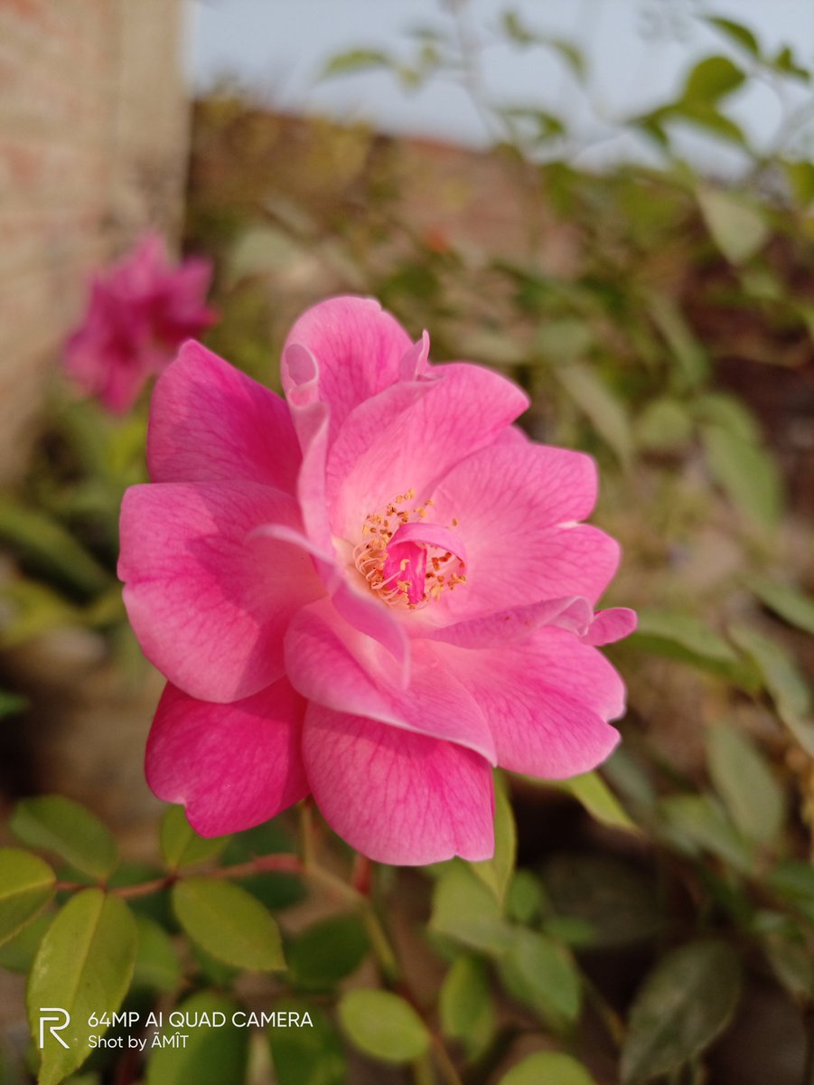 ajaynagar33's tweet photo. Rate my photography.. https://t.co/MexHdM8DL0