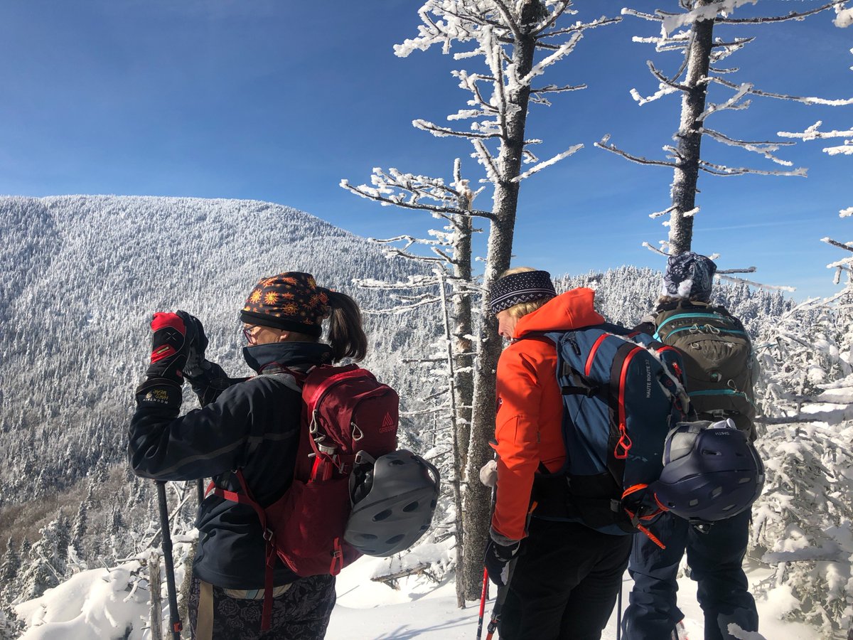 MRV_Guide's tweet image. Best skiing period, more like.  Money can&apos;t buy our love.

forbes.com/sites/kaelicon…