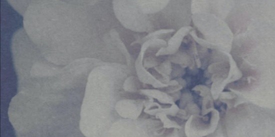 No Echo's @adam_yoe just reviewed 'Luck of the Draw,' the new EP from North Carolina band Holy Figures.

FFO: Swervedriver, Narrow Head, Sparta 

Review: bit.ly/39MQSJd