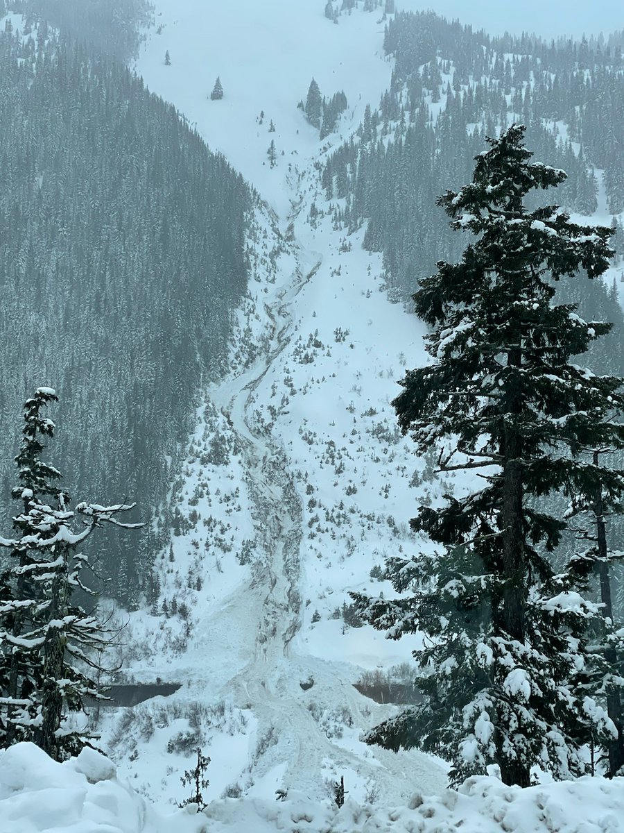 WSDOT_East's tweet photo. Our crew got this shot of an avalanche Tuesday that covered the old railroad show shed &amp; came across part of the Iron Goat Trail near US 2. These slides are a good reminder of the possible hazards so do your homework before going out to enjoy the snow in the back country. https://t.co/xadcskYszy