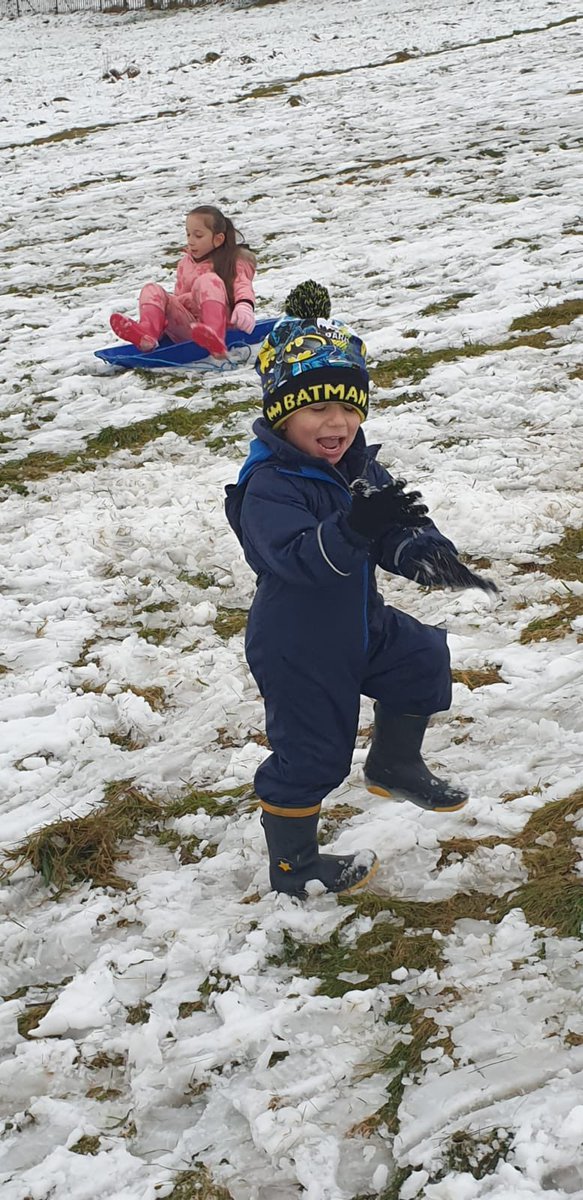 GillinStephanie's tweet photo. @LinthaughN Dilan enjoyed the snow https://t.co/VO58lyj0dB