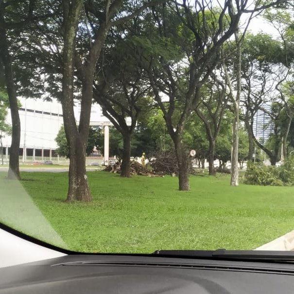 taguayork's tweet image. Um engarrafamento do caralho no Pistão Norte sentido Pistão Sul, pq os gênios do GDF decidiram podar árvores durante o dia. Oq custa fazer esse tipo de serviço de madrugada?