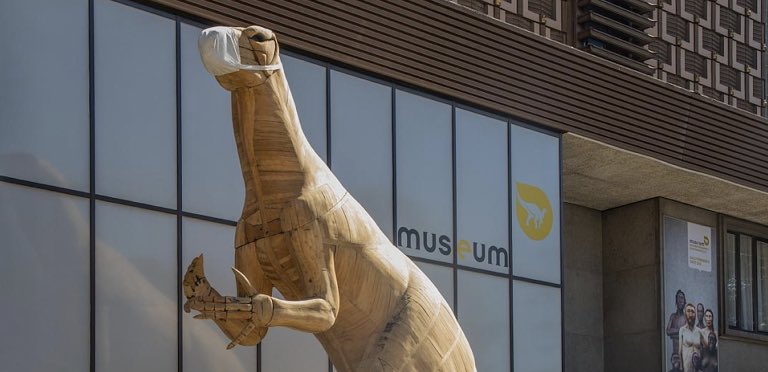 enaparte_media's tweet photo. En Belgique, les musées se ravivent 🏫

Par @SachaSantini

https://t.co/6cbvcaUt8a https://t.co/P81IyQ0Rsl