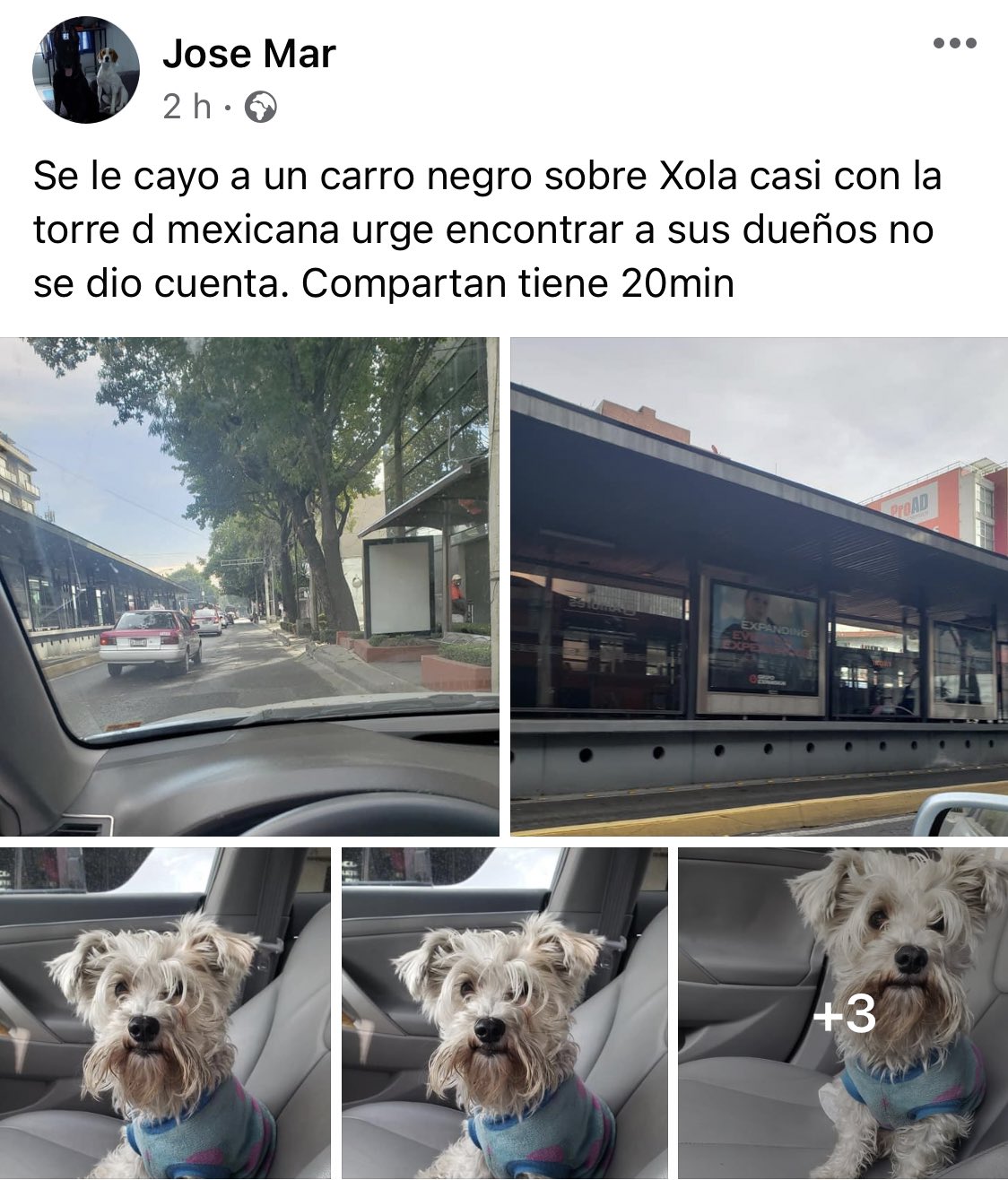 Colonia Álamos CDMX (AlamosCDMX) / Twitter