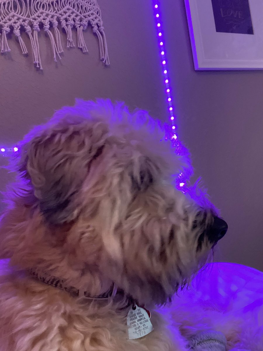 Mark Eby tweet media