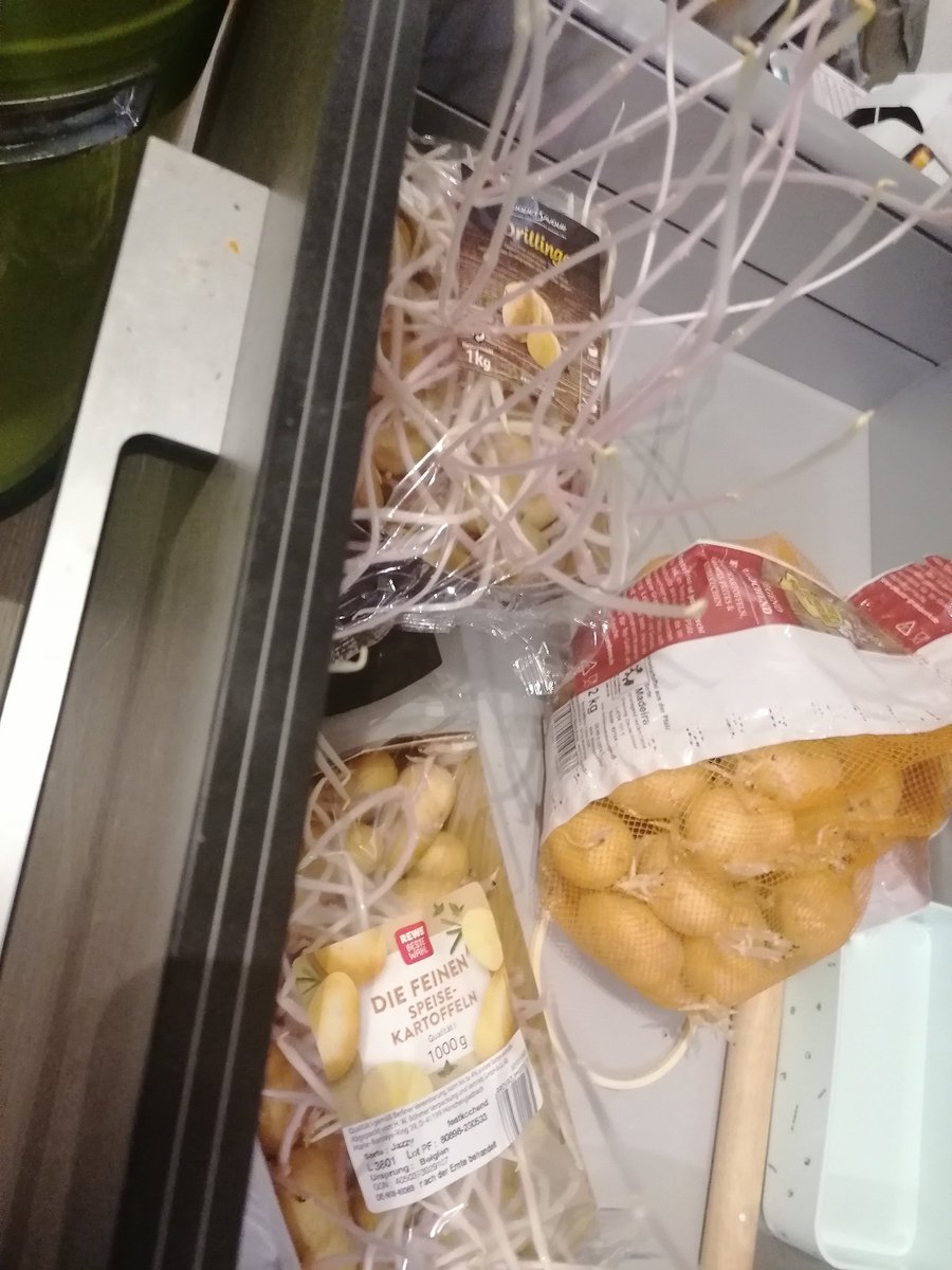 mimmismama's tweet photo. Wann sind die eigentlich flügge? https://t.co/LBfSpubKfr