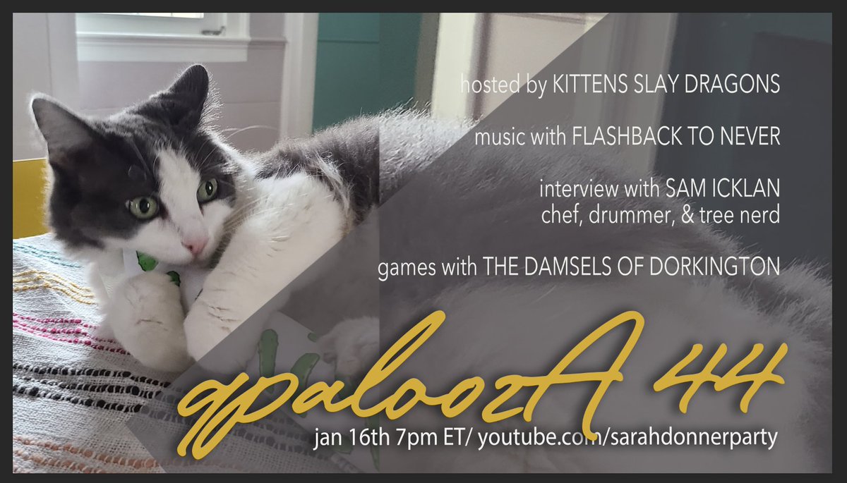 OH YEAH, we back Saturday. Join <a href="/Flashback2Never/">Flashback to Never</a> <a href="/chopchopboom/">Sam Icklan</a> <a href="/Dorkington/">steve dickson</a> &amp; <a href="/meowslaydragons/">Kittens Slay Dragons</a> for another profesh, well organized, and thoughtful episode of #Qpalooza. Watch <a href="/AbbeyCatBrewing/">$hClain!</a> and <a href="/danielnaruta/">Danielle</a> open the show all on their own bc I'm taking vocal pedagogy course!