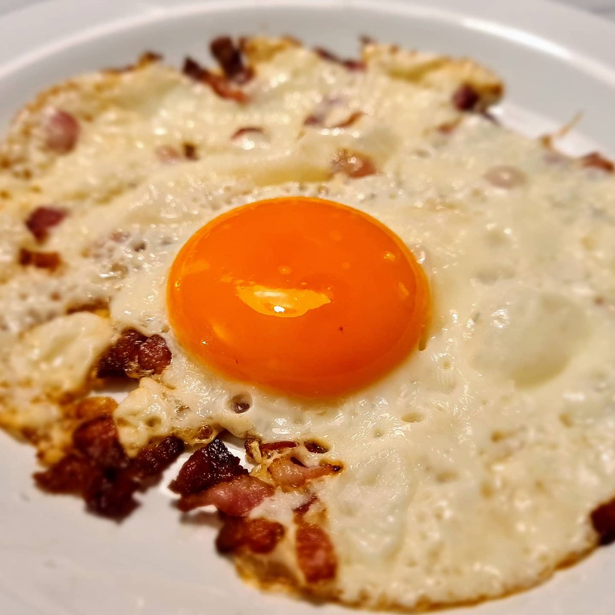 January self experiment  #carnivore  #organuary day 14Venison & beef steak from the gourmet meat box gift box from my wife. Venison & beef steaks, eggs, bacon lunch. Light early supper of slow cooked beef cheek & shortrib plus an egg  #IntermittentFasting  #lowcarb