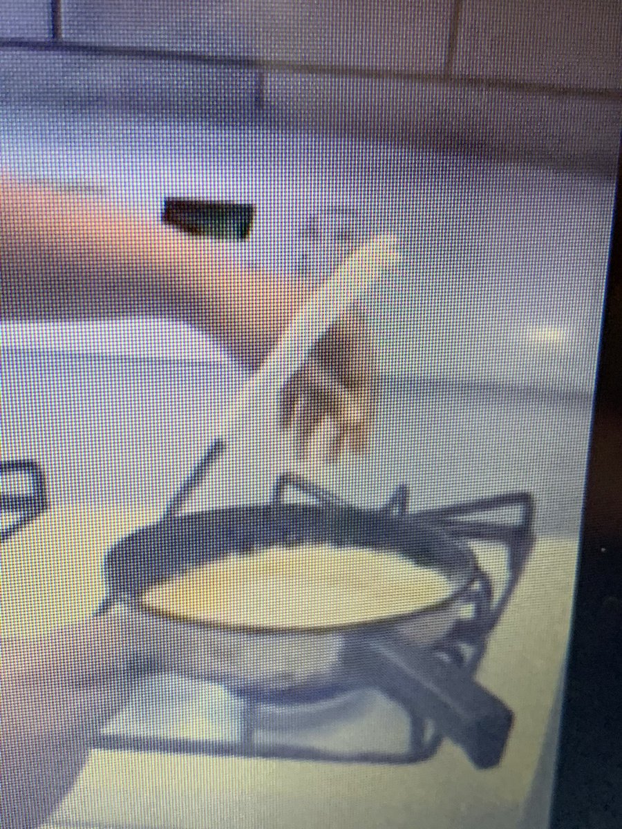 msgoldygraham's tweet photo. Students were the teachers in our class today as they demonstrated their “how to” assignment. We learned how to make quesadillas, Apple compote &amp; omelettes. We learned how to play the c-scale, to play guitar, care for animals &amp; create crafts. Such a fun learning day! @LPASlou https://t.co/GeDq28r3iI