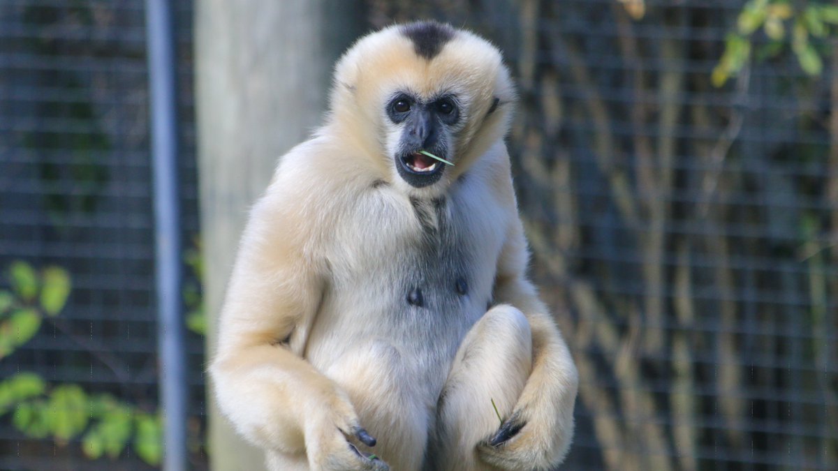 Roger Williams Park Zoo tweet media