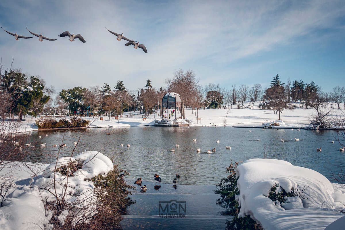 clep00's tweet photo. Alcorcón 

@AytoAlcorcon

 #nevada #alcorcon #madrid #madridnieve 
@MADRID https://t.co/o6DNjm4Imd
