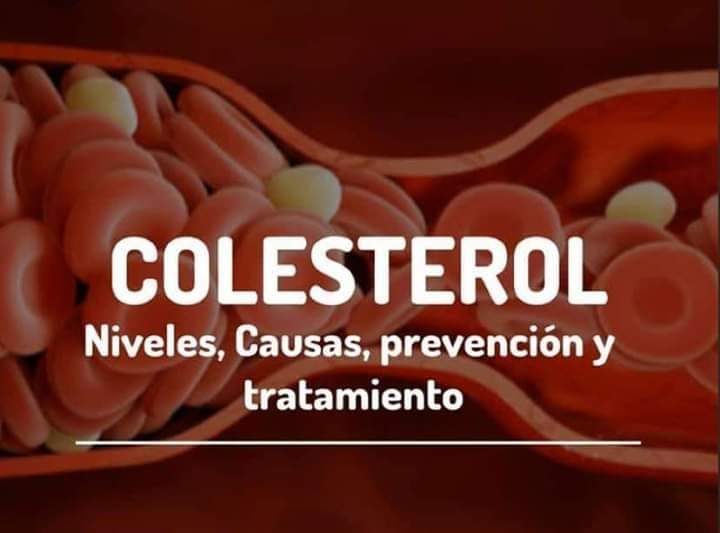 Giancarlo_bhip's tweet photo. 💖CUIDA TU VIDA💖
SUFRES DE COLITIS, GASTRITIS, HÍGADO GRASO, ESTREÑIMIENTO, COLESTEROL 😱😱😱
No esperes más mandame INBOX 📲
Planes orgánicos y acoplados a tus necesidades ✍🏻 #reto30 https://t.co/iar0SWgLqf